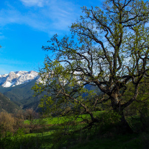 OLYMPUS DIGITAL CAMERA22